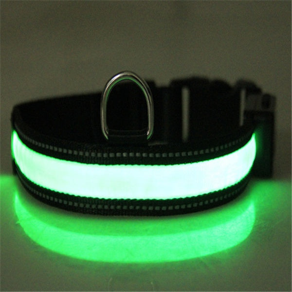 Fluorescent Dog Collar For Nighttime Visibility