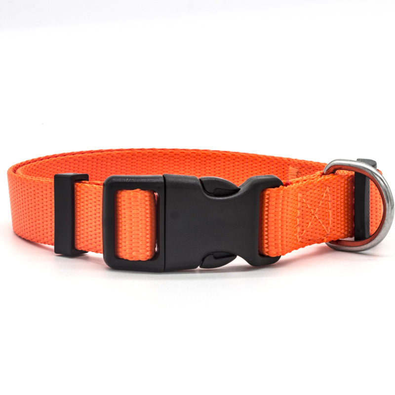 Adjustable Stylish Pet Collar For Everyday Wear