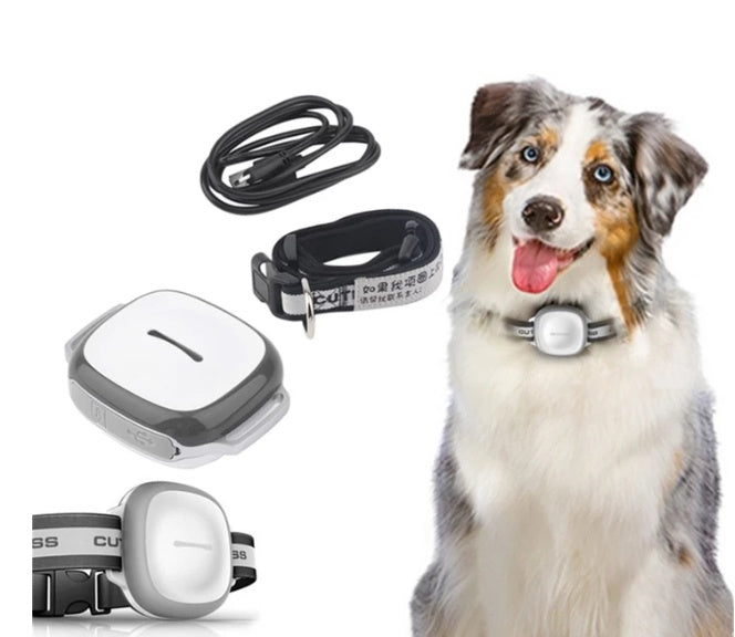 Collar Pet Tracker Locator For Cats And Small Dogs