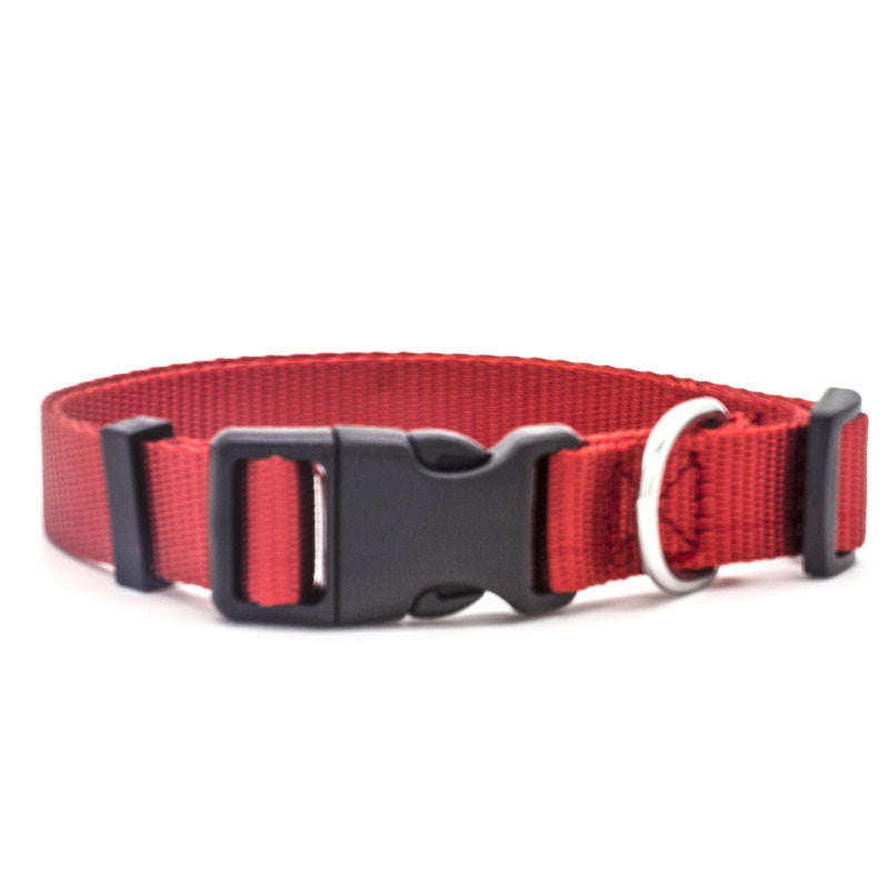 Adjustable Stylish Pet Collar For Everyday Wear