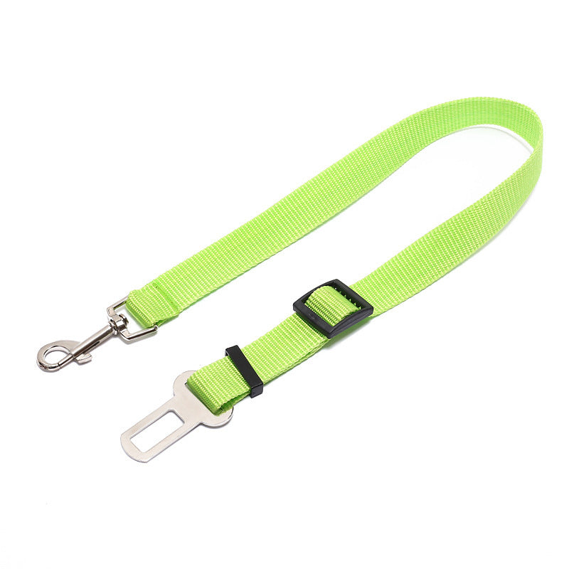 Durable Polyester Dog Leash With Fixed Strap For Daily Walks-70cm-Theone Apparel