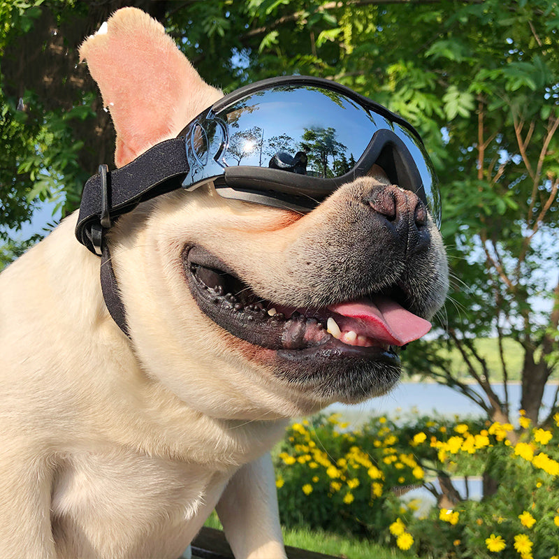 Windproof Dog Sunglasses Goggles For Outdoor Protection