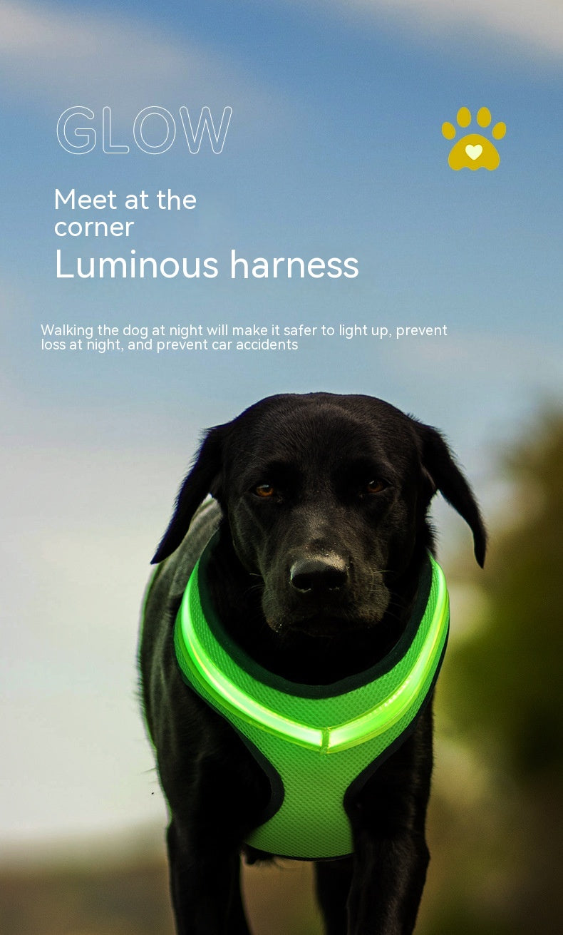 LED USB Rechargeable Dog Harness For Safety And Comfort