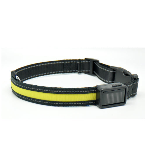 Fluorescent Dog Collar For Nighttime Visibility