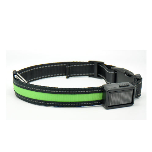 Fluorescent Dog Collar For Nighttime Visibility