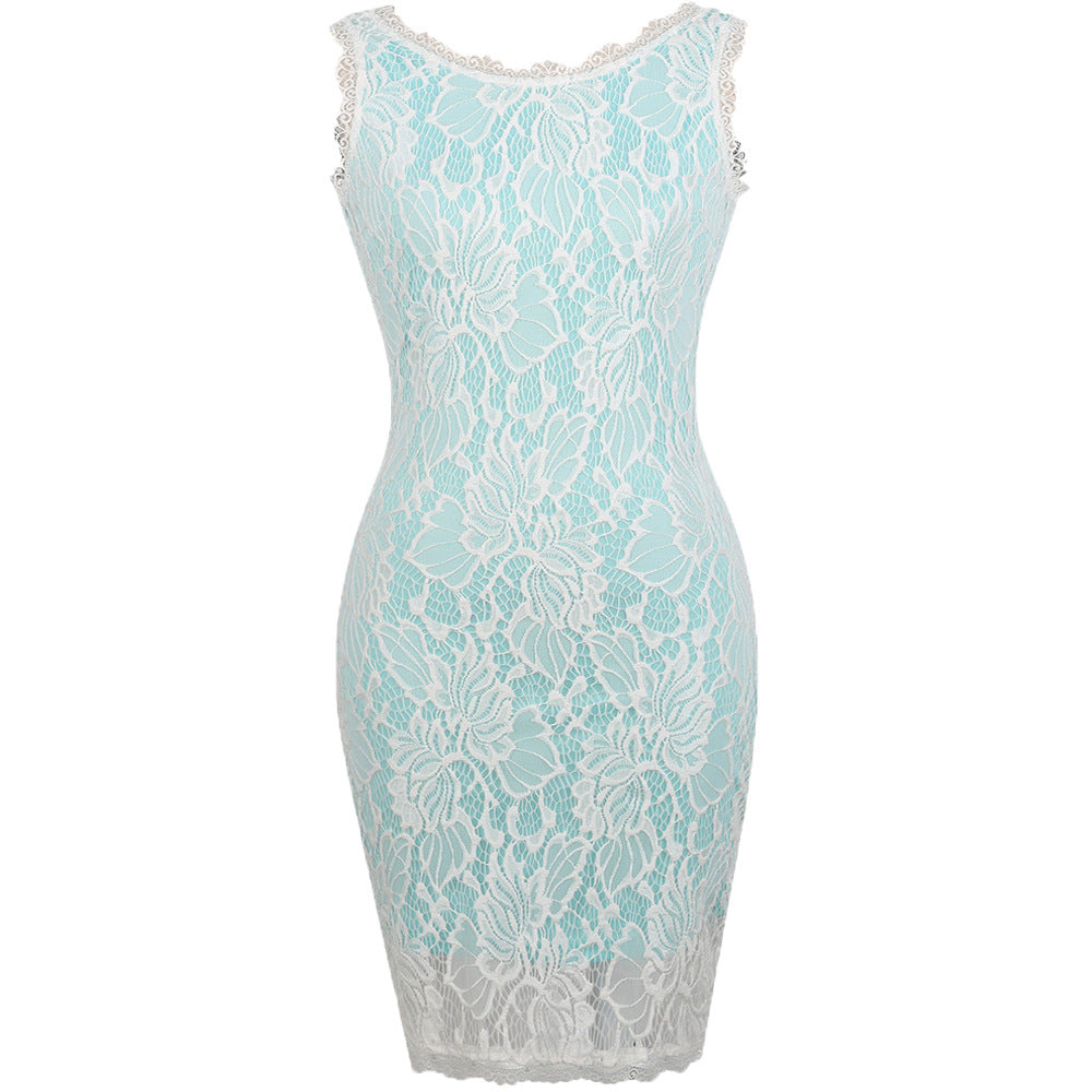 Embroidered Lace Sleeveless Sheath Dress