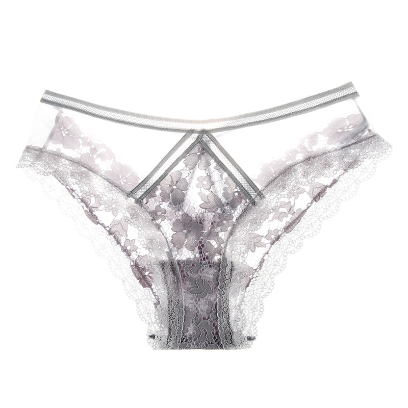 Mesh and Lace Transparent Low Rise Briefs