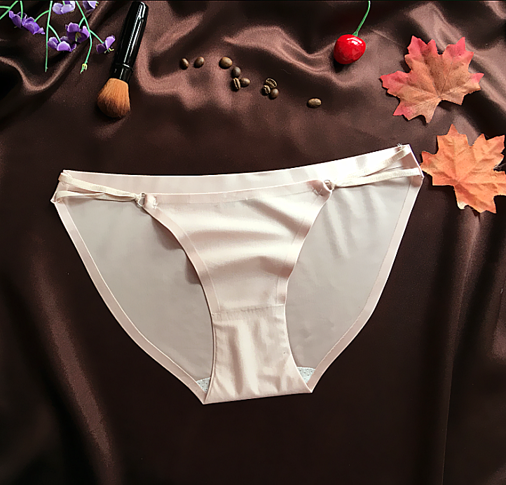 Opaque Silky Smooth Full Coverage Panties-Pink-Theone Apparel