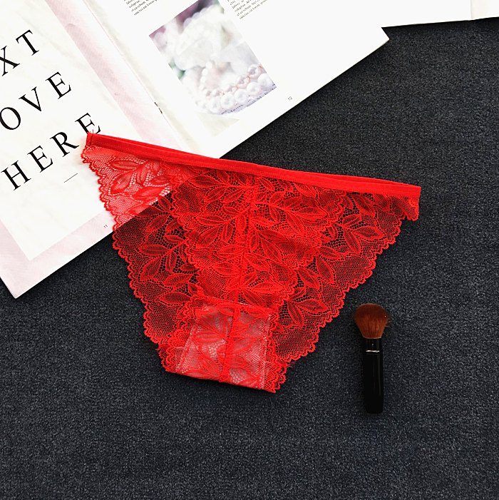 Semi See Through Lace Briefs Panties-Red-Theone Apparel