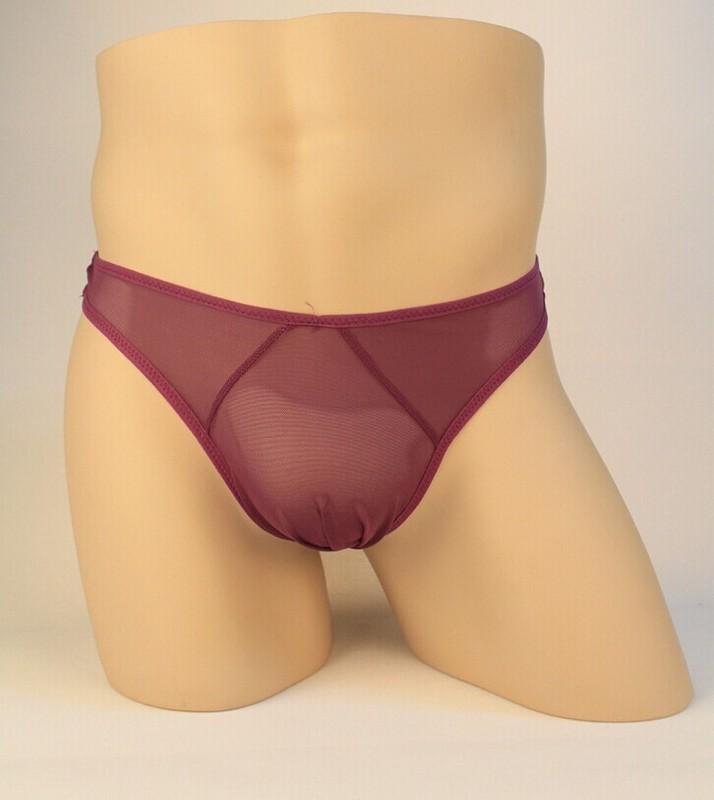 Sheer Mesh Men's Brief Underwear-Purple-Theone Apparel